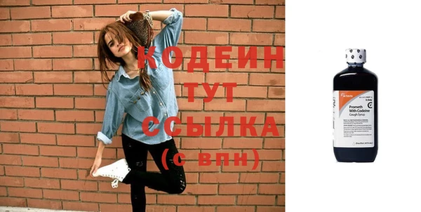 индика Чердынь