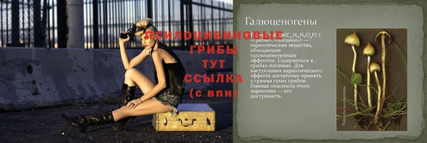 ALPHA PVP Чегем