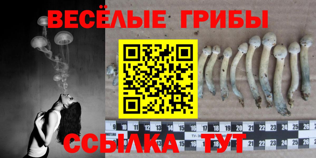 Псилоцибиновые грибы ЛСД Нефтеюганск