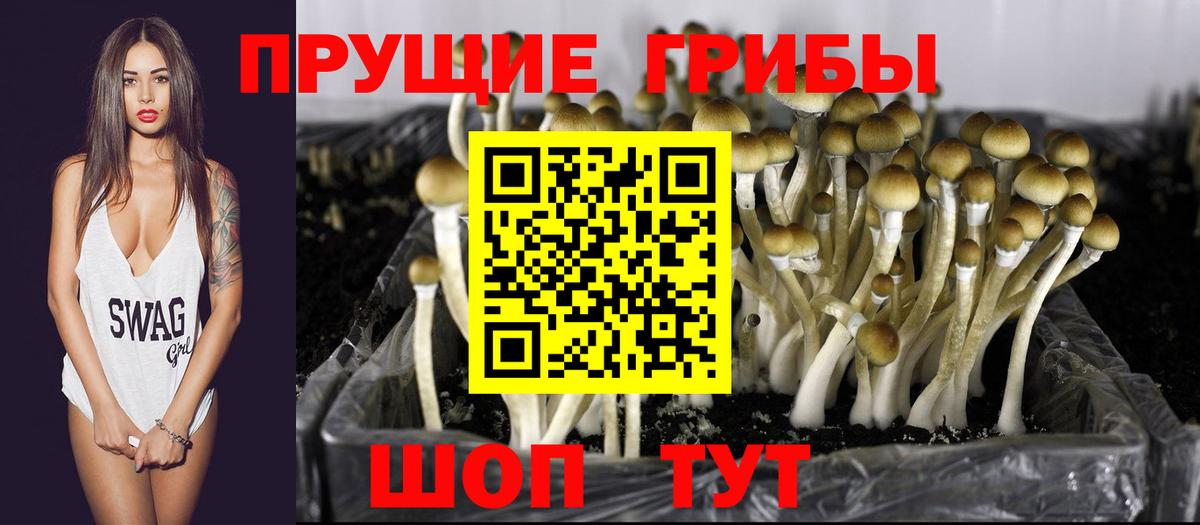 Галлюциногенные грибы Psilocybine cubensis  Вход с VPN  Галлюциногенные грибы MAGIC MUSHROOMS  Нефтеюганск 