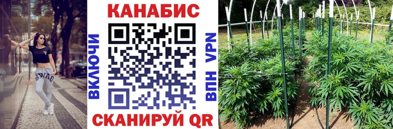 купить закладку  Нефтеюганск  Бошки марихуана план 